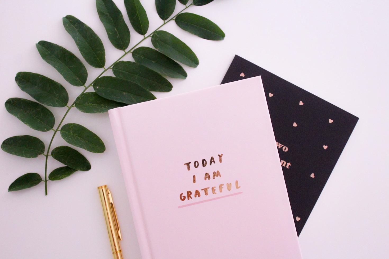 Inspirational Tales to Brighten Your Day