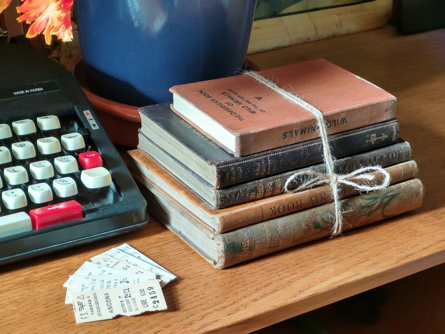 Unpacking the Stories That Shape Our Lives